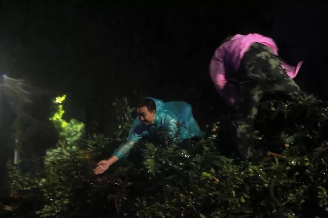 珠海不眠夜，格力整晚陪伴……