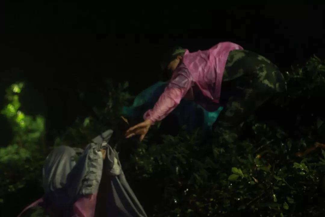 珠海不眠夜，格力整晚陪伴……