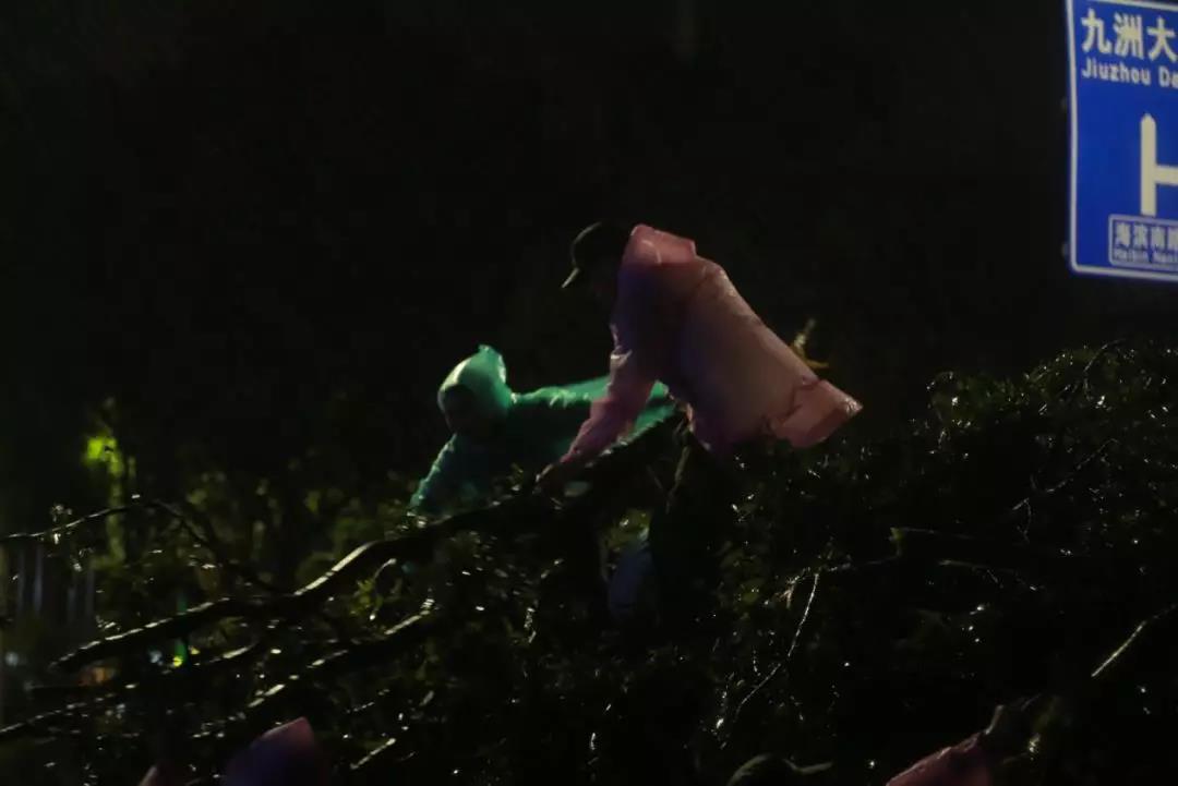 珠海不眠夜，格力整晚陪伴……