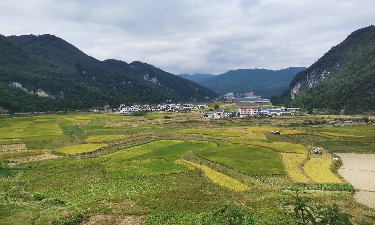 再度亮相第二十八屆聯(lián)合國氣候變化大會——華電運營向世界講述“綠色發(fā)展”故事